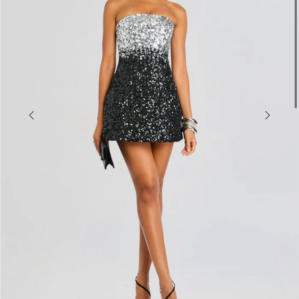 Retrofete Sequin Dress